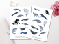 Preview: Whales Sticker Set